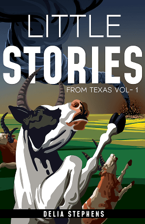 Book cover 2